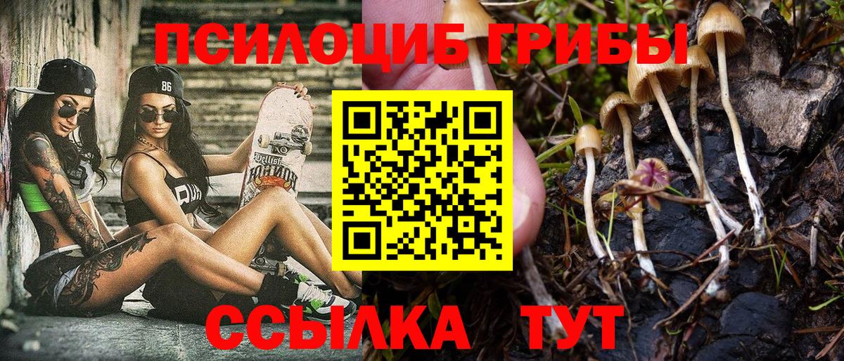 Ульяновск  Галлюциногенные грибы Magic Shrooms  где найти   Вход с VPN 